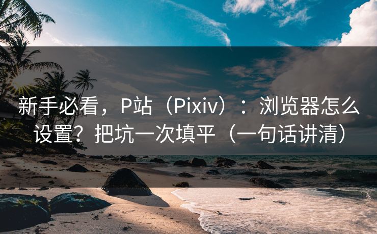 新手必看，P站（Pixiv）：浏览器怎么设置？把坑一次填平（一句话讲清）