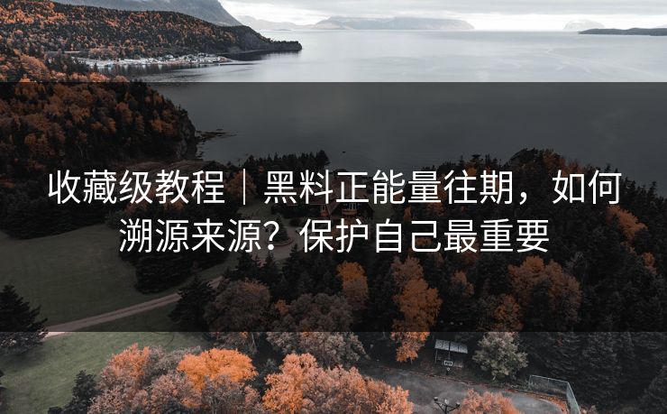 收藏级教程｜黑料正能量往期，如何溯源来源？保护自己最重要
