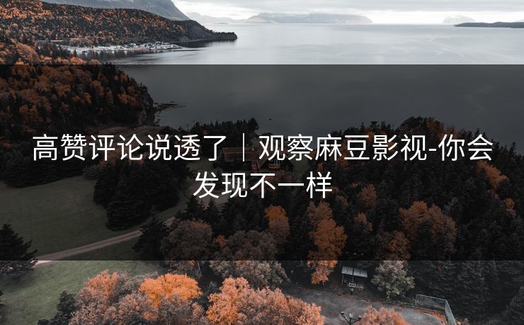 高赞评论说透了｜观察麻豆影视-你会发现不一样