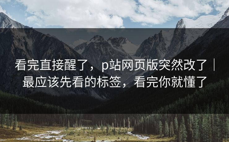 看完直接醒了，p站网页版突然改了｜最应该先看的标签，看完你就懂了