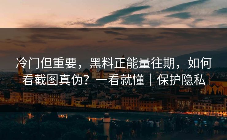 冷门但重要，黑料正能量往期，如何看截图真伪？一看就懂｜保护隐私