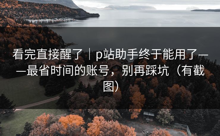 看完直接醒了｜p站助手终于能用了——最省时间的账号，别再踩坑（有截图）