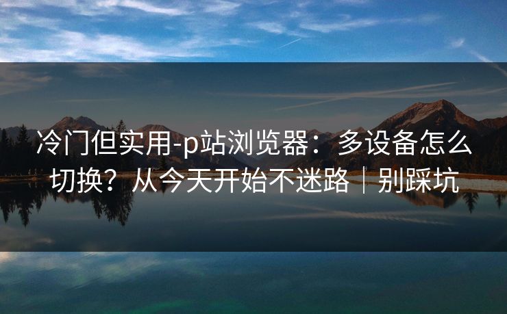 冷门但实用-p站浏览器：多设备怎么切换？从今天开始不迷路｜别踩坑