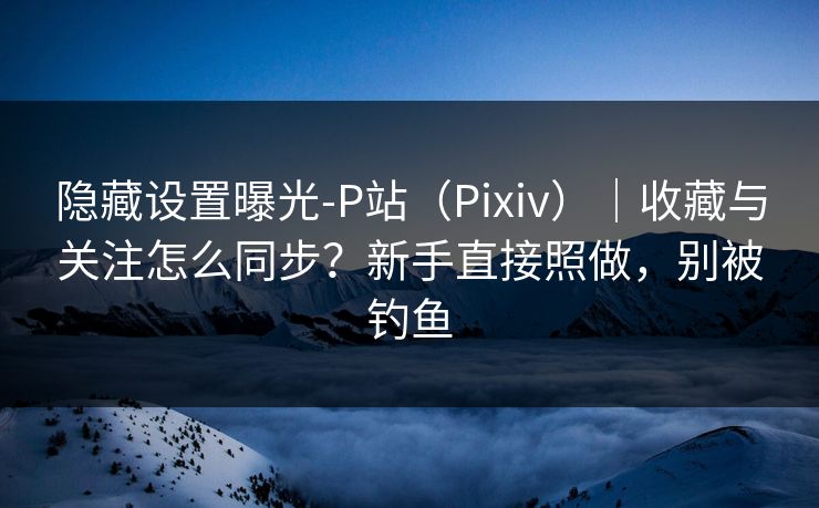 隐藏设置曝光-P站（Pixiv）｜收藏与关注怎么同步？新手直接照做，别被钓鱼