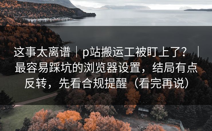 这事太离谱｜p站搬运工被盯上了？｜最容易踩坑的浏览器设置，结局有点反转，先看合规提醒（看完再说）