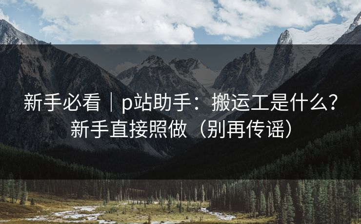 新手必看｜p站助手：搬运工是什么？新手直接照做（别再传谣）