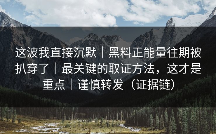 这波我直接沉默｜黑料正能量往期被扒穿了｜最关键的取证方法，这才是重点｜谨慎转发（证据链）
