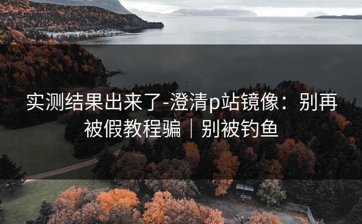 实测结果出来了-澄清p站镜像：别再被假教程骗｜别被钓鱼