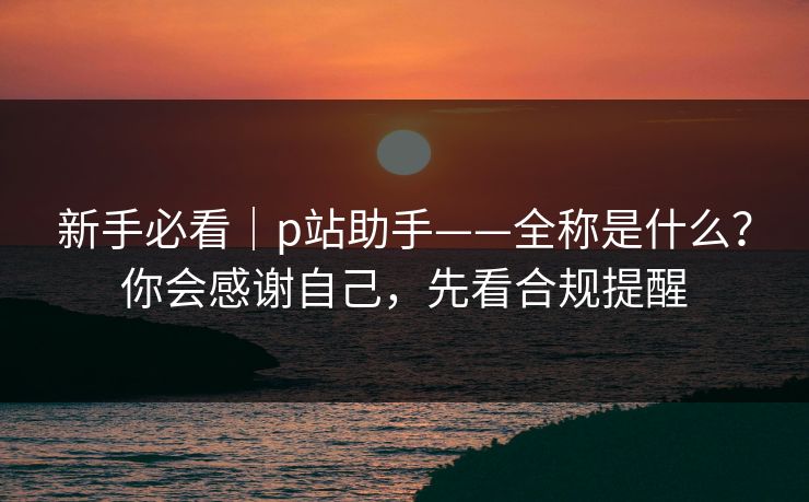 新手必看｜p站助手——全称是什么？你会感谢自己，先看合规提醒