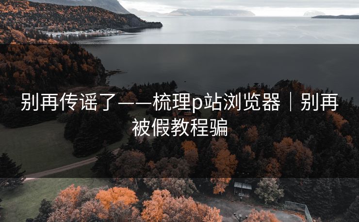 别再传谣了——梳理p站浏览器｜别再被假教程骗